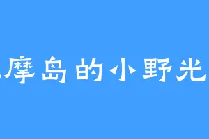 拔摩岛的小野光子