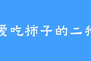 爱吃柿子的二狗
