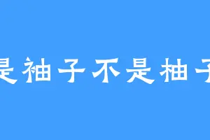 是袖子不是柚子