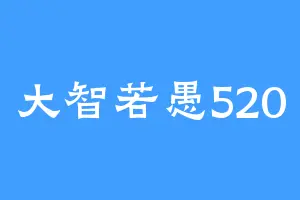 大智若愚520
