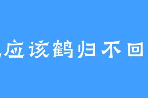 就应该鹤归不回头