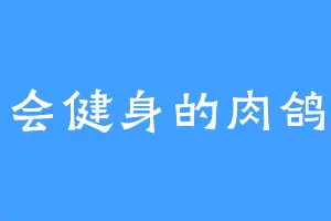 会健身的肉鸽