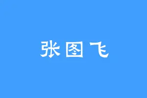 张图飞