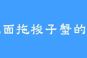 爱吃面拖梭子蟹的洛罂