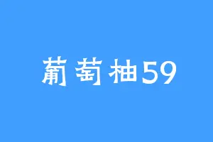 葡萄柚59