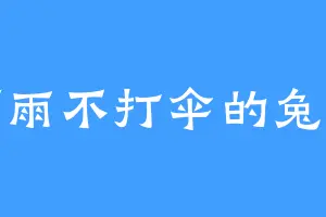 下雨不打伞的兔子