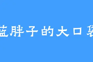 蓝胖子的大口袋