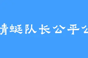 我蜻蜓队长公平公正
