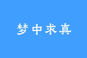 梦中求真