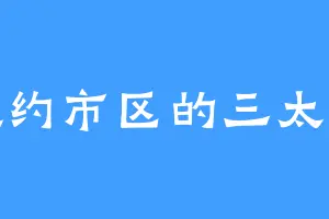 纽约市区的三太子