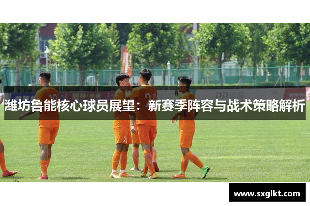 潍坊鲁能核心球员展望：新赛季阵容与战术策略解析