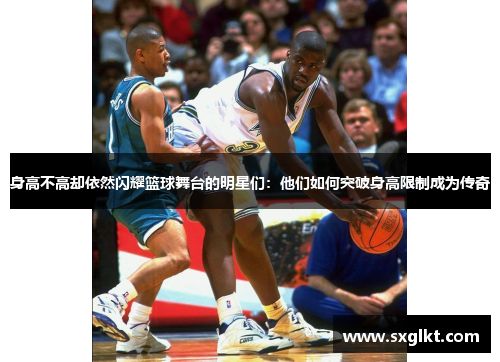身高不高却依然闪耀篮球舞台的明星们：他们如何突破身高限制成为传奇