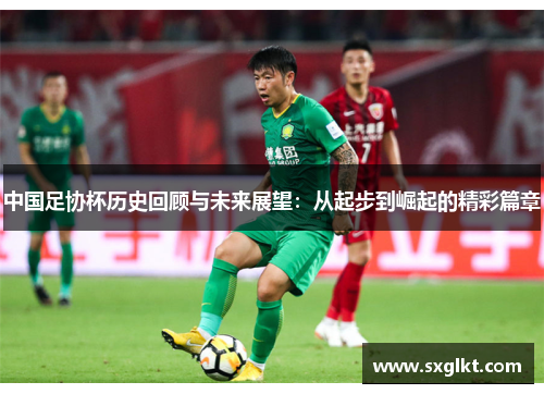 中国足协杯历史回顾与未来展望：从起步到崛起的精彩篇章